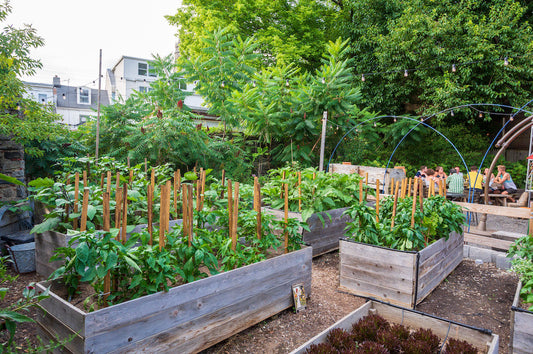 Garden Places Are the New "Third Spaces"