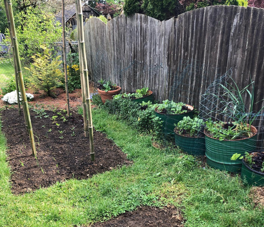 Summer Gardening