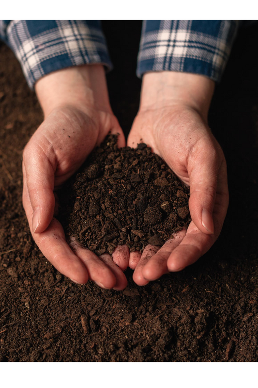 Hands in Soil
