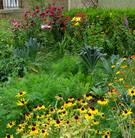 Adopting Regenerative Gardening Practices
