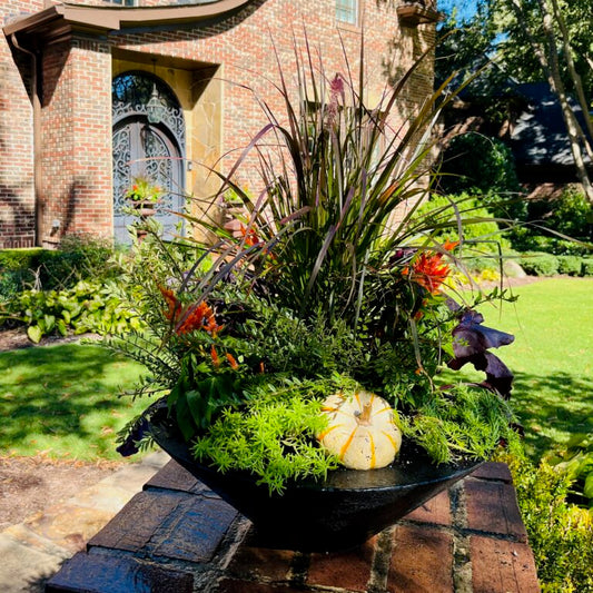 Flower Ideas for Fall Containers