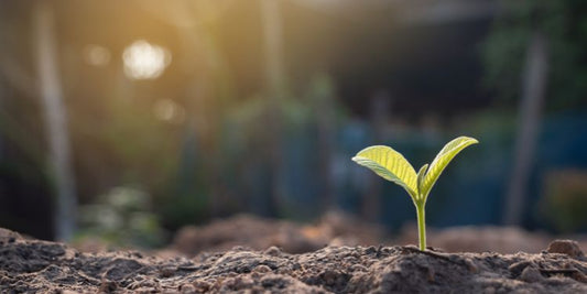 Soil You Can Feel Good About