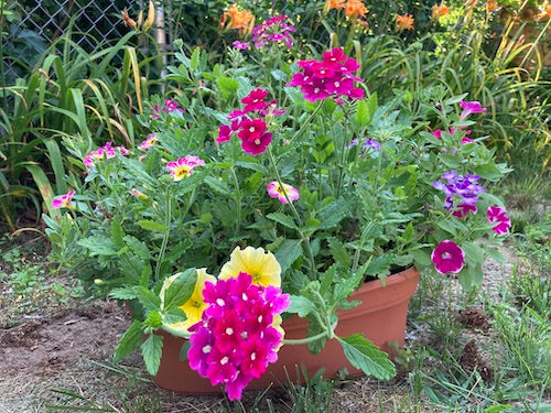 Summer Container Swap-Outs