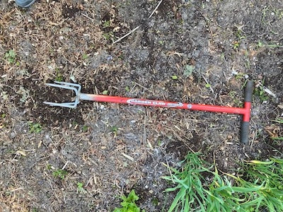 A Cool Start to Vegetable Garden Planting