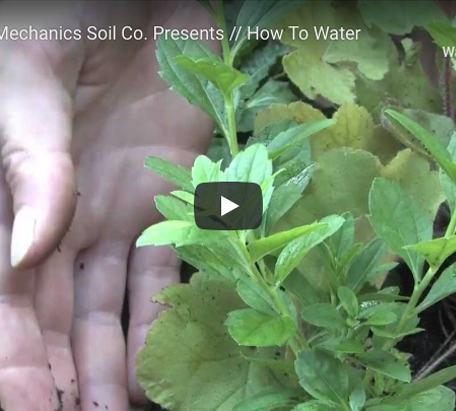 Water Less, with Organic Mechanics!