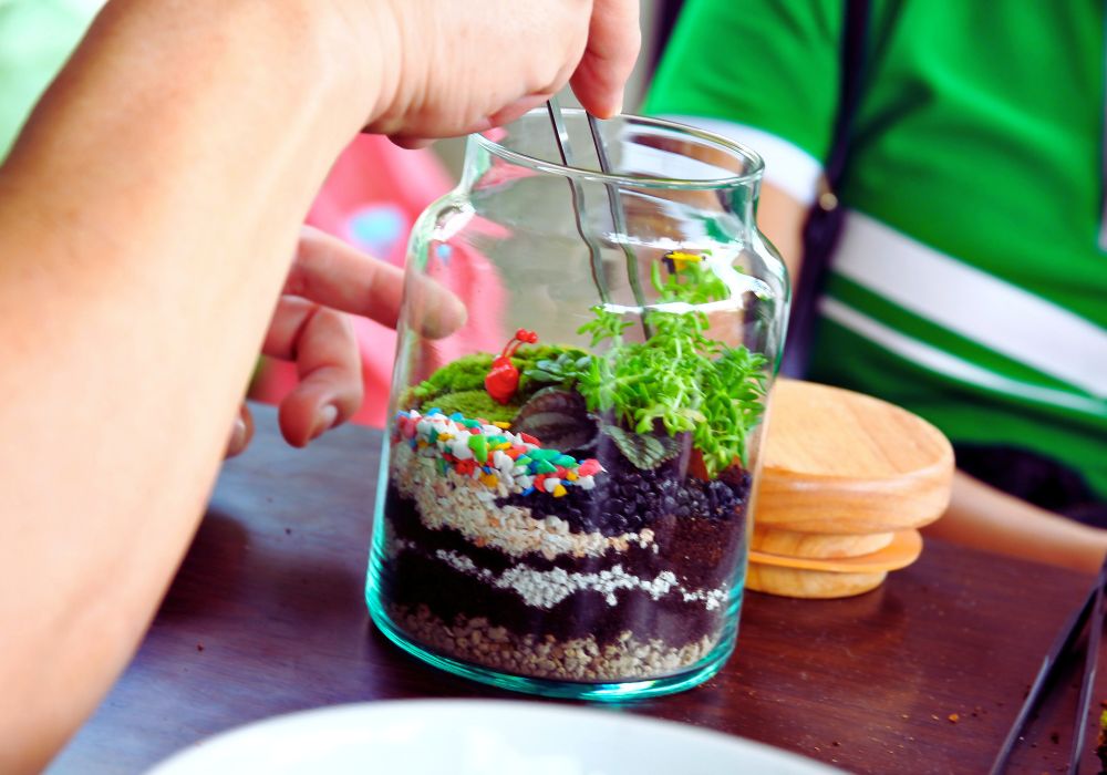 Terrariums as a Fun Winter Project for Families