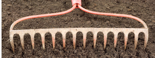 Getting Your Spring Garden Ready