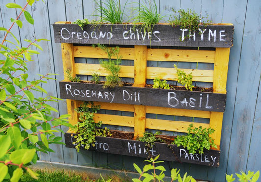 herb garden in pallet