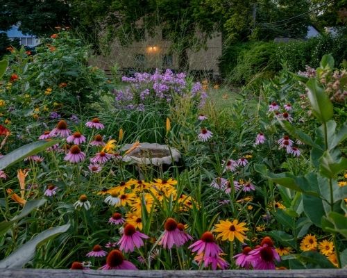 Perennial Garden Perk-Up