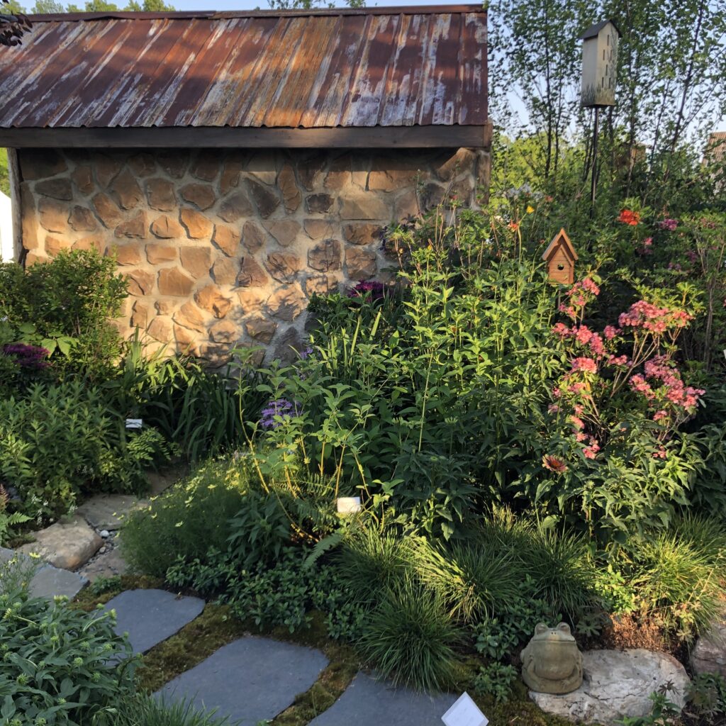 Pollinator garden with garden shed.