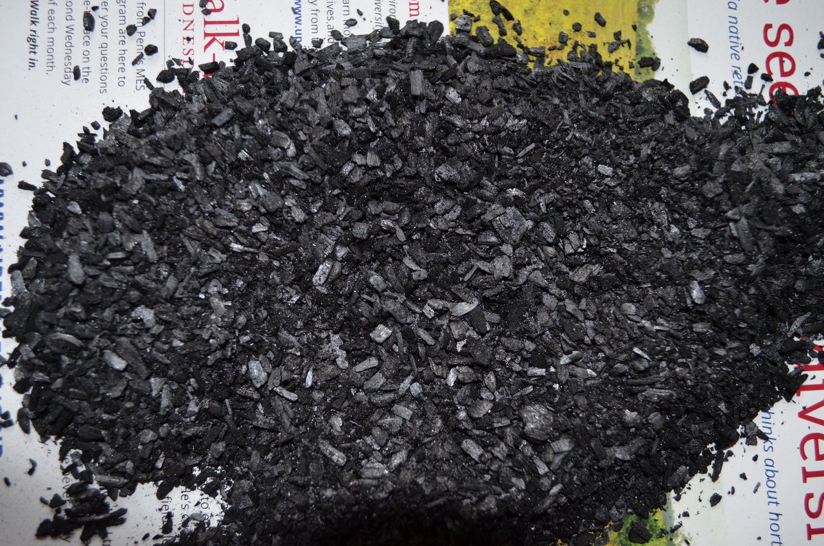 Biochar 101: Nothing Basic About It – Organic Mechanics Soil