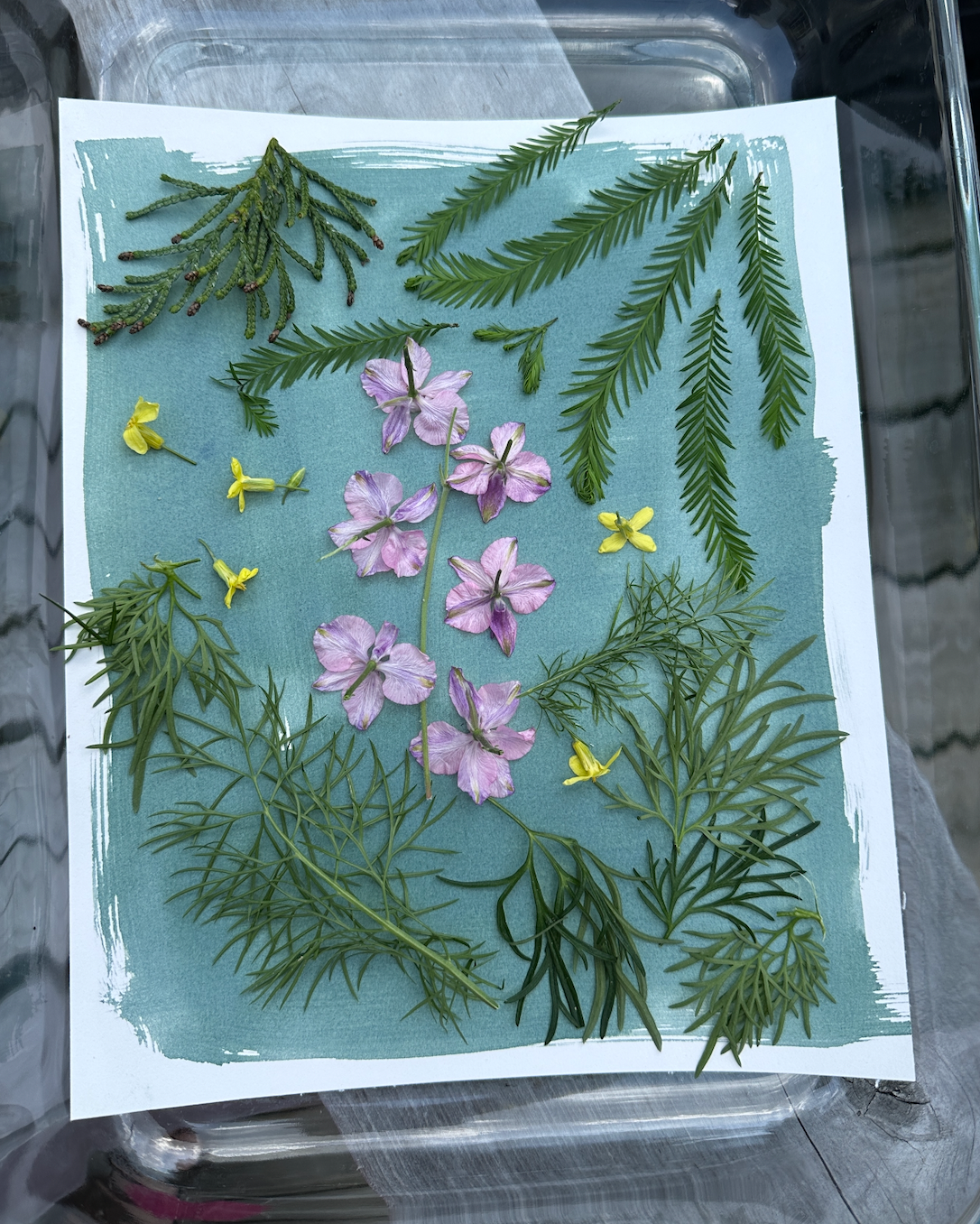 Garden Crafts for Kids! Creative Projects Using Items from the Garden
