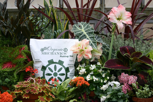 20 Years of Organic Mechanics