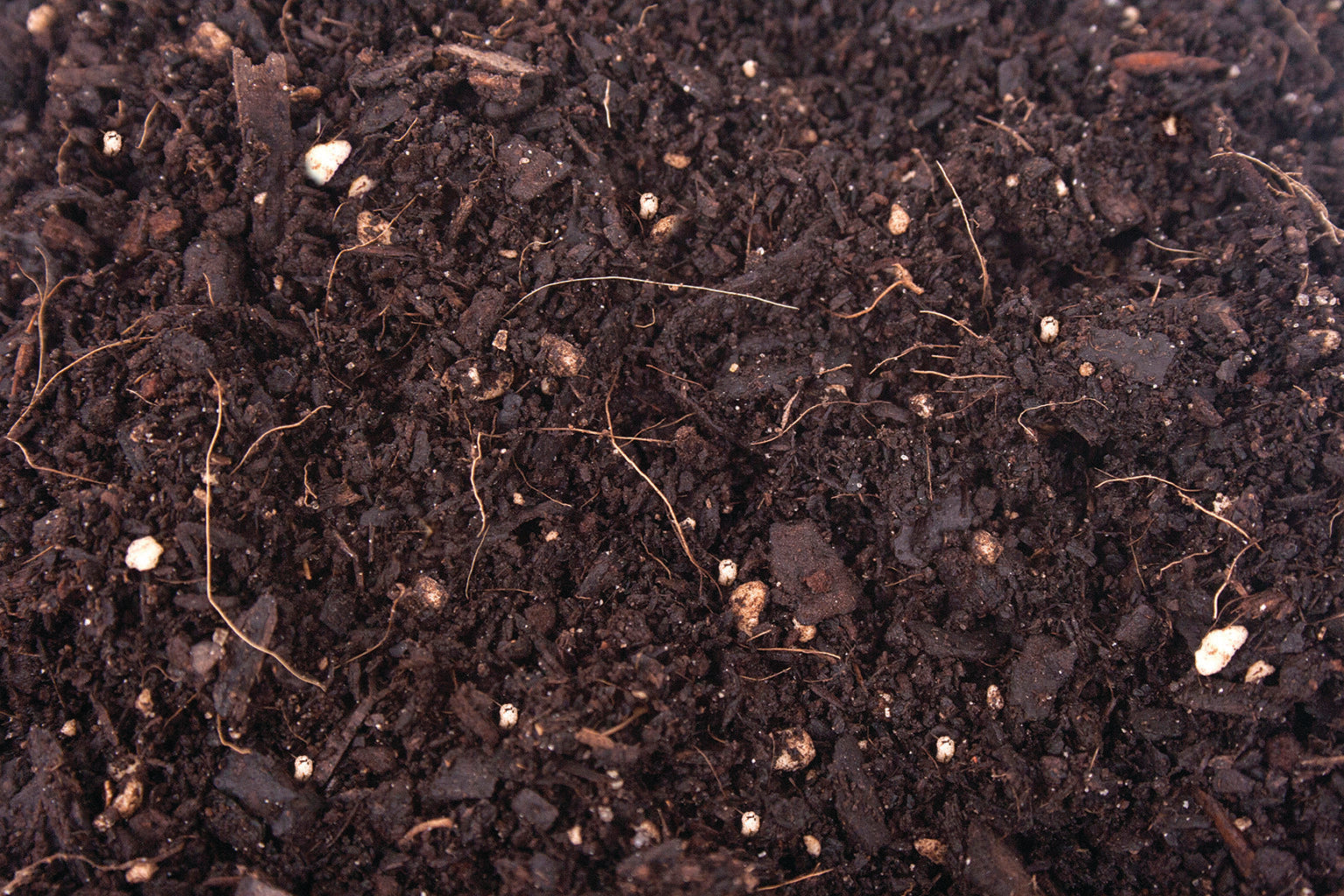 Which Potting Soil Is Right for Which Plant?