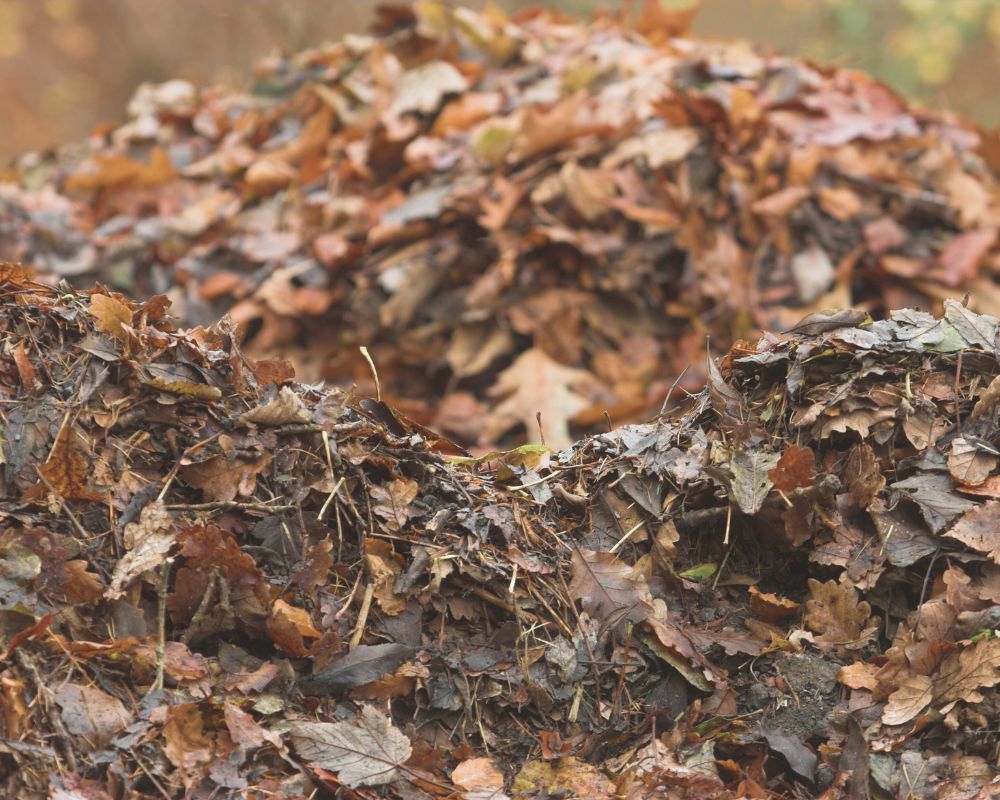 Fall Gardening Strategies for Healthy Spring Soil