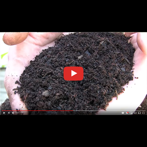 Organic Mechanics Soil Co. Presents // American Plant ® Planting Mix