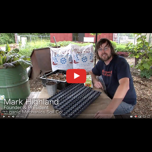 Planting Seeds! With Seed Starting Blend