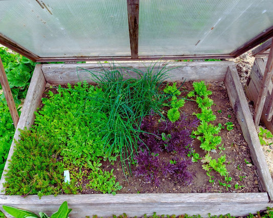 Extending the Fall Harvest in Affordable Ways