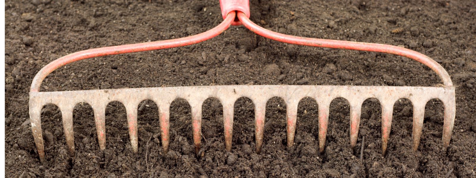 Getting Your Spring Garden Ready