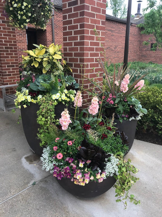 Quick Tips for Summer's Mixed Patio Containers and Baskets