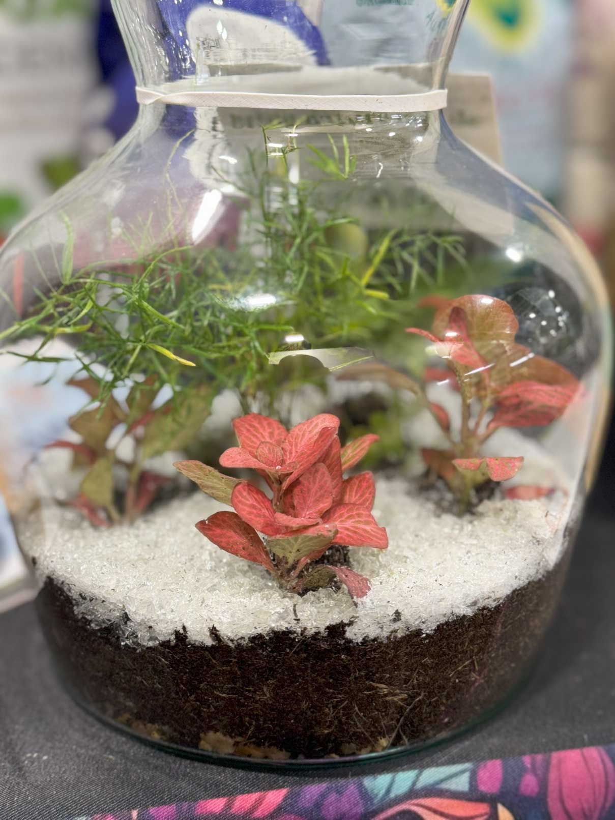 2nd SAND: New Terrarium and Container Decoration!
