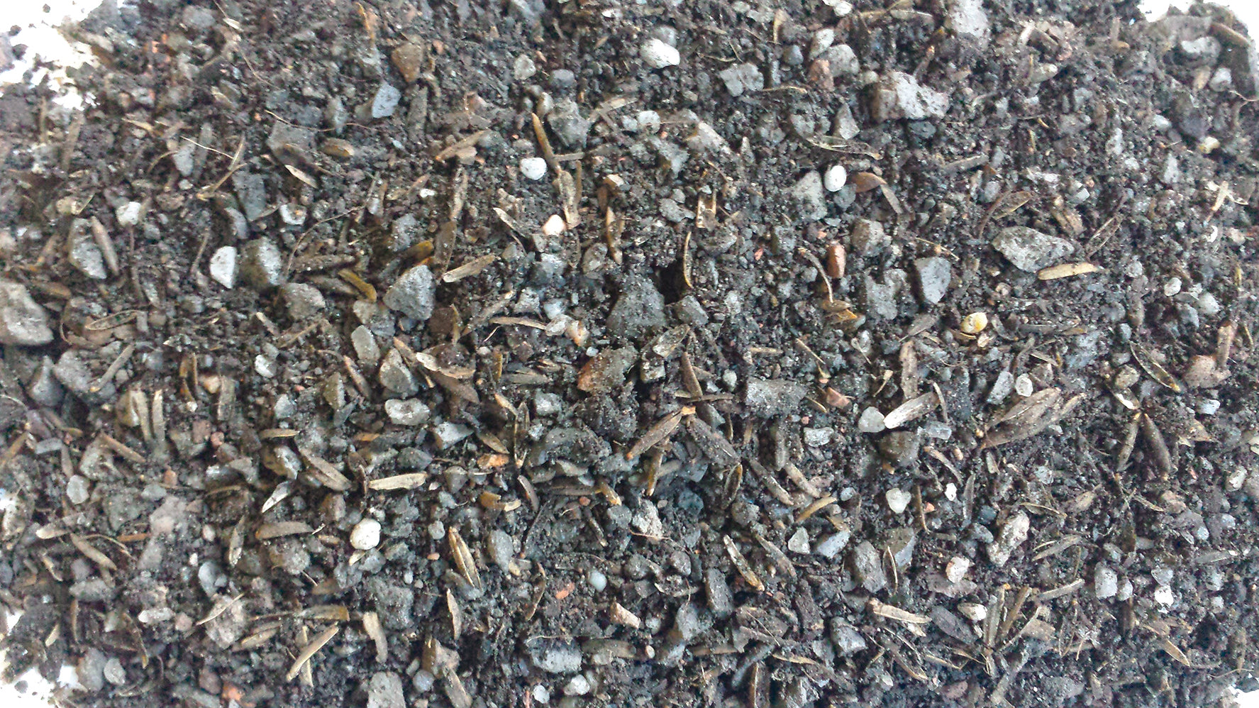 bulk cactus soil near me Organic Cactus & Succulent Potting Soil For Sale Online – Organic Mechanics Soil