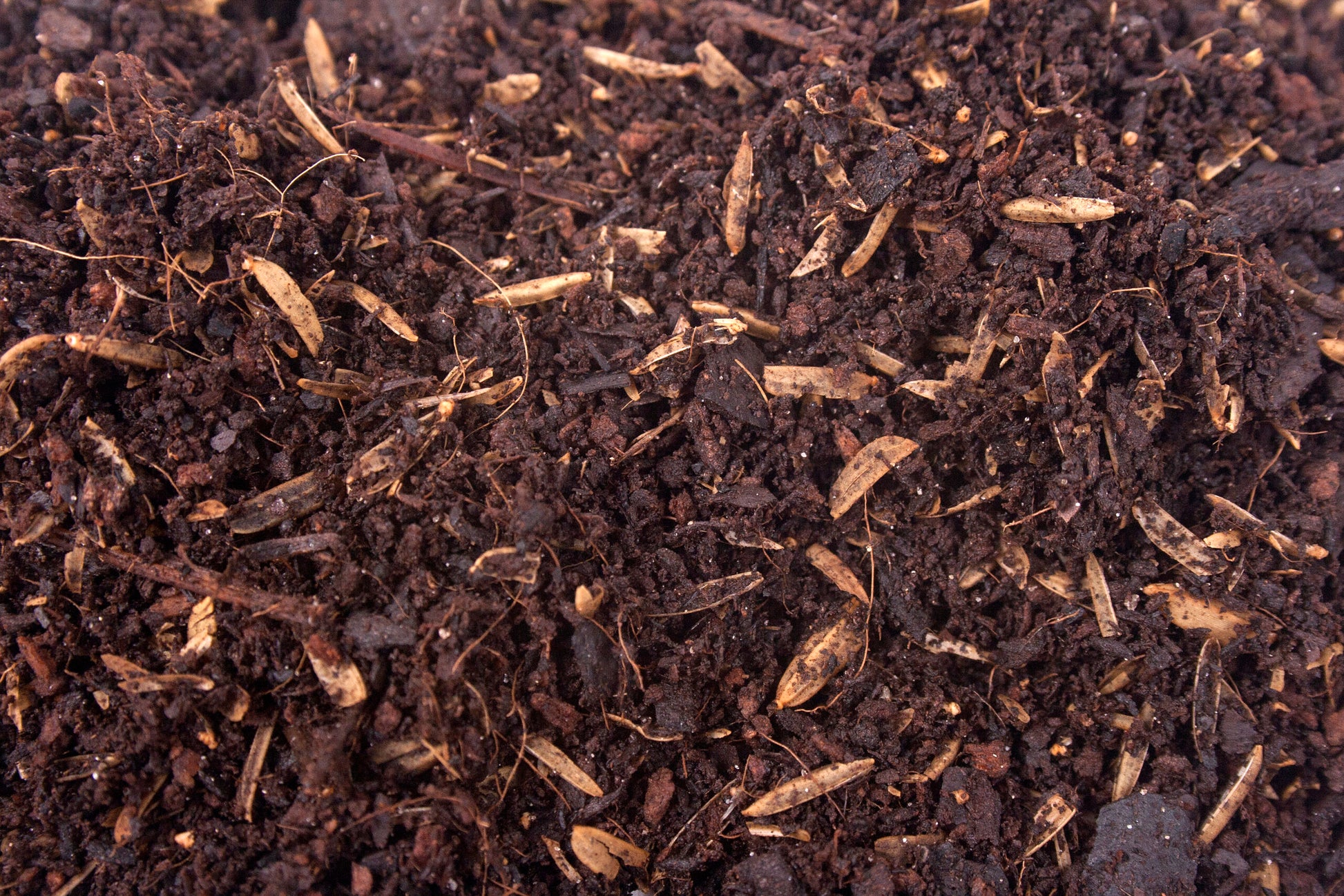 organic container potting mix Organic Container Potting Soil