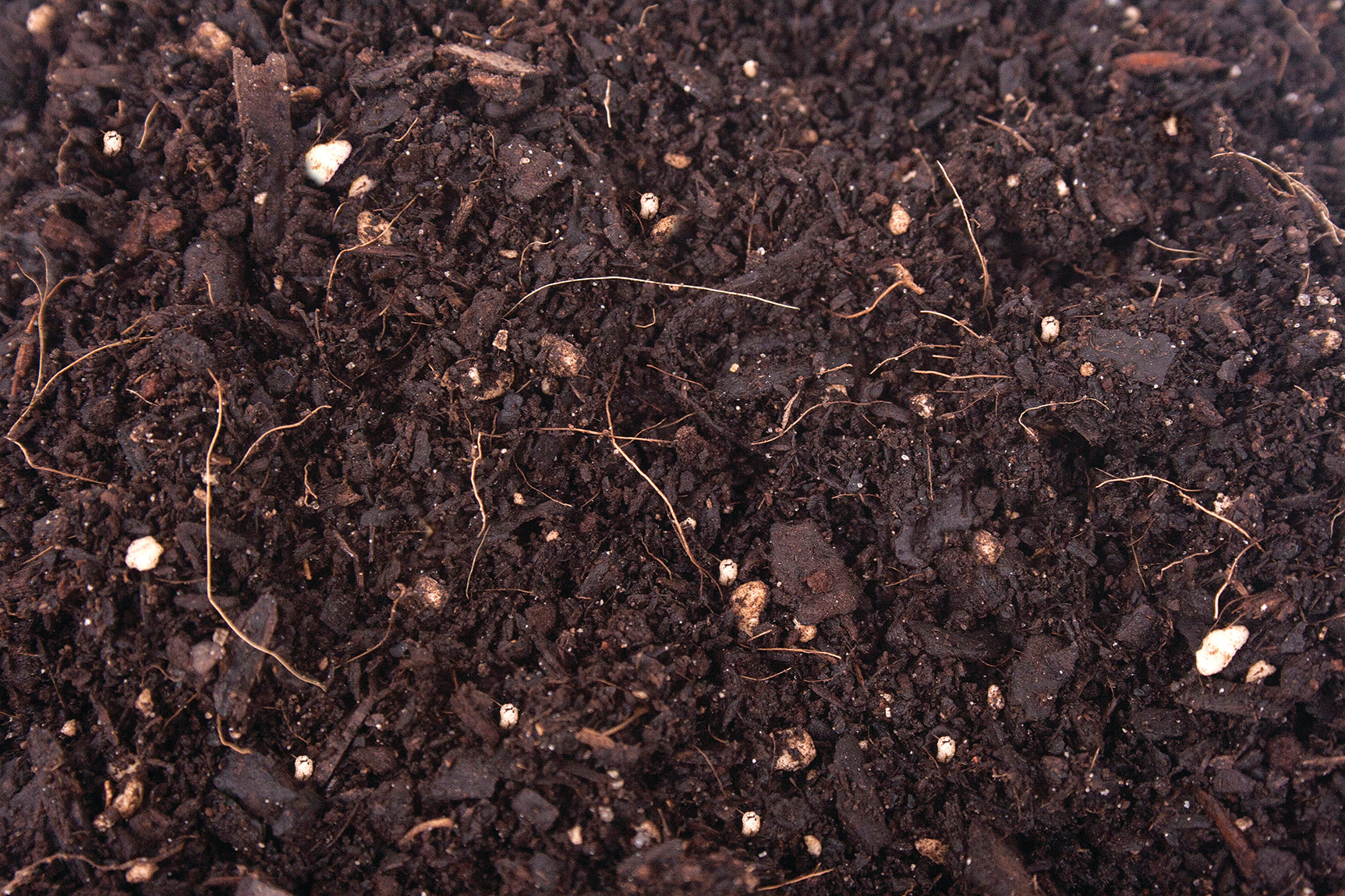 potted plant dirt Organic Potting Soil for Houseplants, Raised Beds, and Tropical Plants