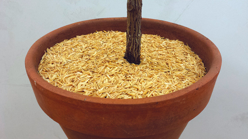 ORGANIC MECHANICS® Pure Rice Hulls