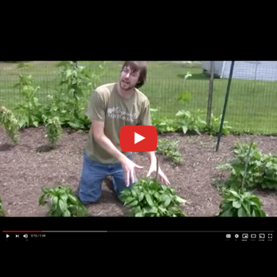 VINTAGE VIDEO: Organic Mechanics® In the Garden