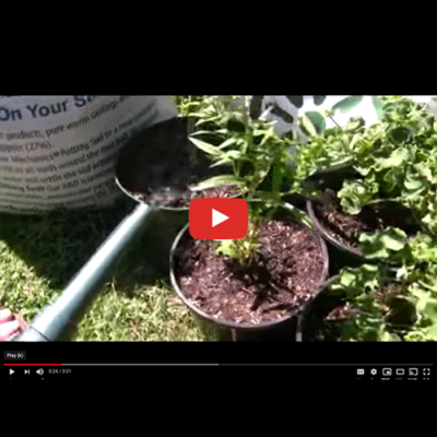 VINTAGE VIDEO: Watering Plants 101