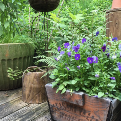 Gorgeous Container Gardens Start with Organic Potting Soil