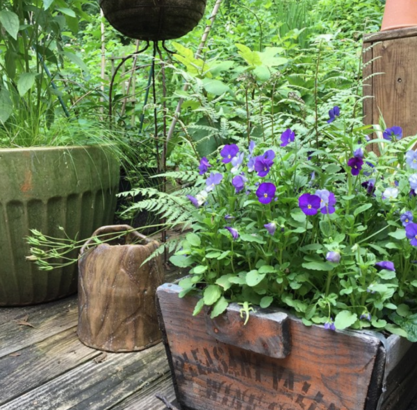 Container Gardens Start with Organic Potting Soil Organic