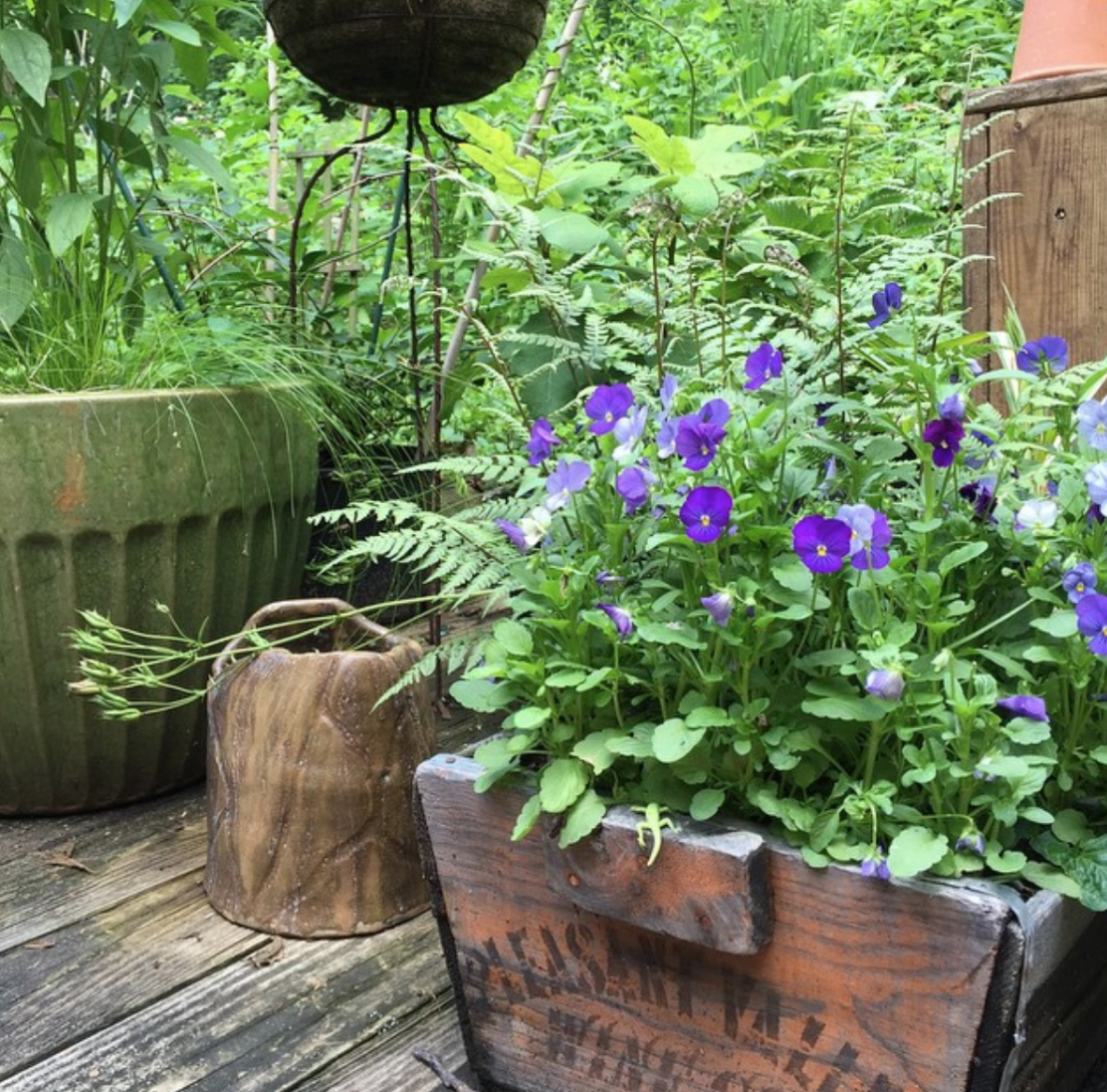 container garden growing in organic potting soil