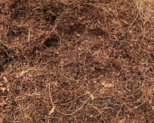 Coco coir for growing weed