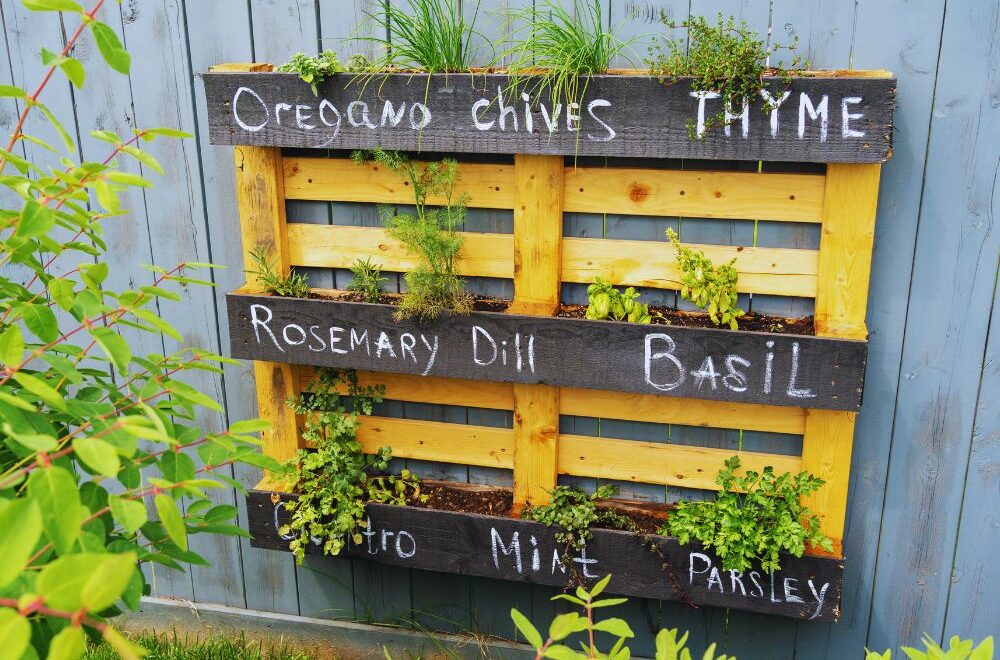 herb garden in pallet