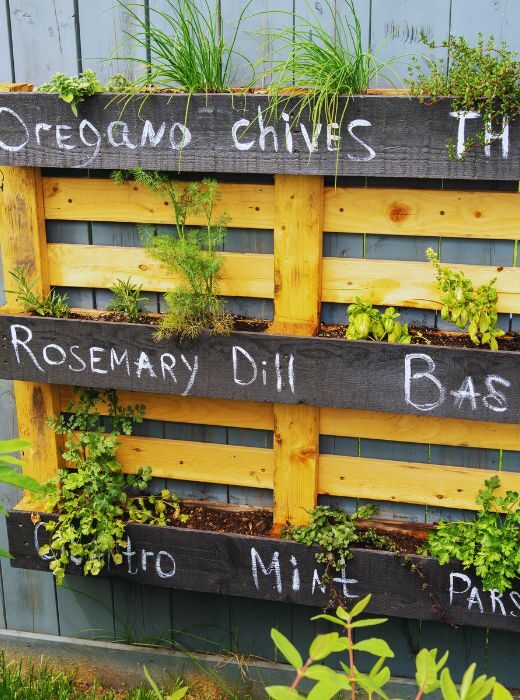 herb garden in pallet